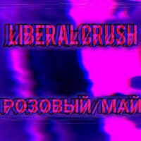 Вячеслав Казаков Liberal crush