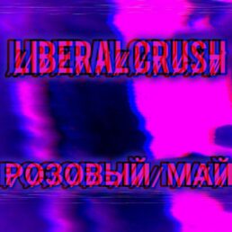 Вячеслав Казаков Liberal crush