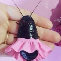 ЖукВинсент ...